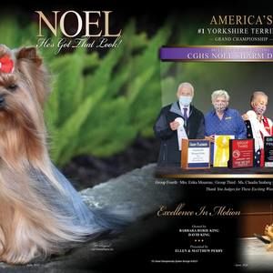 Meet your Posher, Barb